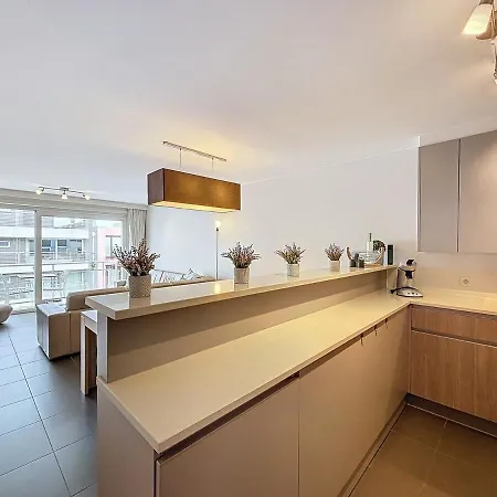 Flat Terlinck - Σπίτι διακοπών De Panne